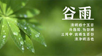 【二十四節(jié)氣灸】谷雨時節(jié)，用艾為您的健康加上一道保險！