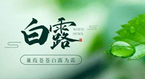 【二十四節(jié)氣灸】白露涼爽，養(yǎng)心肝脾胃、滋陰潤肺是關(guān)鍵！