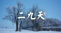 【三九養(yǎng)生】冬二九，扶陽(yáng)補(bǔ)腎氣，讓你陽(yáng)氣充足一整年！