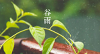 【二十四節(jié)氣灸】谷雨節(jié)氣脾土濕，艾灸降濕濁，脾旺不受邪！